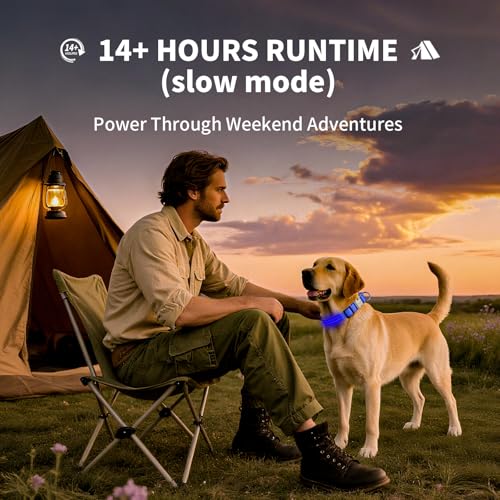 LED Dog Collar with Metal Buckle - USB Rechargeable Glow Collar for Dogs, Waterproof Light Up Dog Collar w/Reflective Strips - Adjustable Night Safety Collars by PetIsay(Blue,Medium) - color: Blue(Fiber optic version), size: Medium (14½ " - 19½ " )