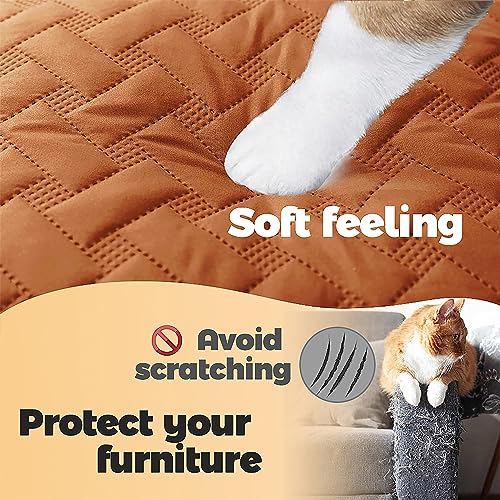 gogobunny 100% Double Sided Waterproof Dog Blanket Soft Pet Bed Cover Reversible Protect Furniture Couch Sofa Car for Puppy Cat Kids (Dark Pumpkin/Light Pumpkin, 30x70 Inch (Pack of 1)) - color: Dark Pumpkin/Light Pumpkin, size: 30x70 Inch (Pack of 1)