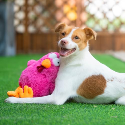 Best Pet Supplies Interactive Squeaky Dog Chew Toy, Ideal Dog Toys for Chewers, Small, Medium & Large Dogs, and Fetch Lovers - Cluck (Fuchsia), Large - color: Cluck (Fuchsia), size: Large