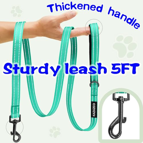Kazazoo No Pull Small Dog Harness and Leash Set, Adjustable Puppy Soft Vest Harness with Breathable Mesh Padded, Reflective Lightweight Harness with Buckle for Small Medium Dogs, Green M - color: Green, size: M