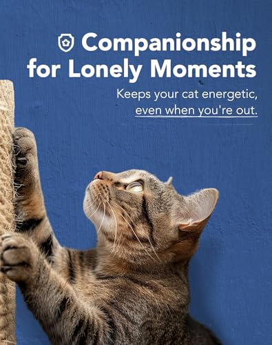 Lukamoo® Cat Scratching Pad, Wall Mounted Scratcher for Indoor Cats (Medium (24'' x 16'')) (Grey Tabby) - color: Grey Tabby