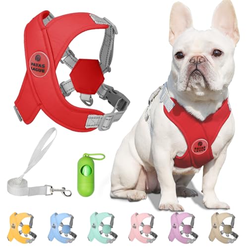 Dog Harness with Leash Set Adjustable Soft Padded Step-in Dog Vest No Choke No Pull Reflective for Small Pets with Poop Bags and Dispenser, Solid and No-chew, Red XS - color: Red, size: XS (Neck 16-19.1'' Chest 18.8-21.5'')