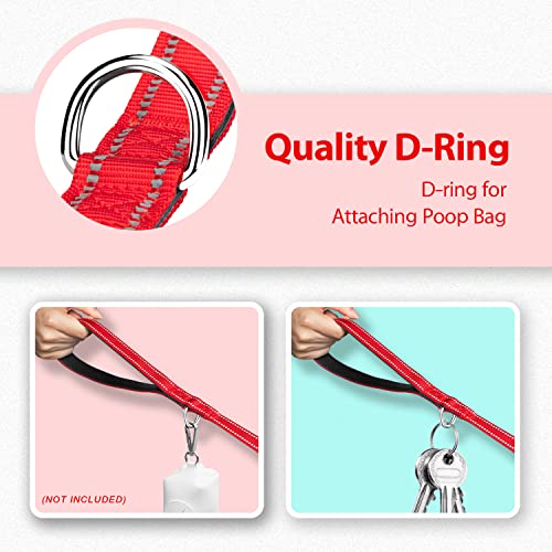 PHOEPET 5 Feet Dog Leash - Dual-Side Reflective - Soft Padded Handle - Fit for Walking, Training or Exploring Hiking, Camping (Red + Black Base) - color: Red + Black Base