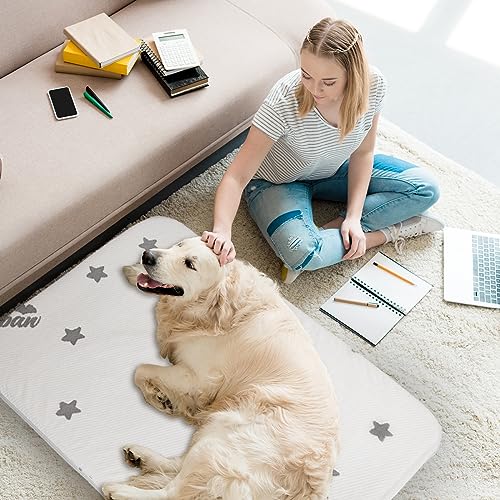 Biloban Waterproof Dog Beds for (Large) Dogs, Washable Mat Pad, Memory Foam Dog Beds & Furniture for Small/Medium Large/XL/XXL Pet with Removable Cover (Light Grey) - color: Light Grey