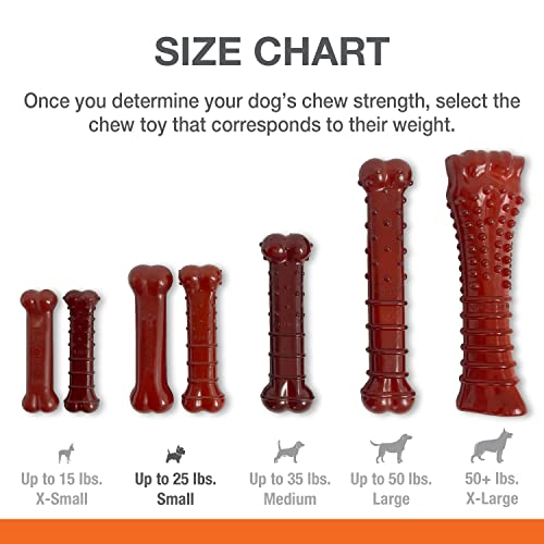 Nylabone Power Chew Basted Blast Dual Flavored Dog Chew Toys for Aggressive Chewers - Durable Dog Bones with 2 Layers of Flavor - Bacon and Steak Flavor, Small/Regular (2 Count) (Pack of 2) - size: Small (Pack of 2)