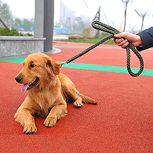 Love Dream Dog Collar and Leash Set, Heavy Duty Nylon Braided Rope Strong 4 FT Dog Leash and Martingale Training Collar for Small Medium Large Dogs Training and Walking (Green) - color: Green, size: Medium (Thick 1.5cm)