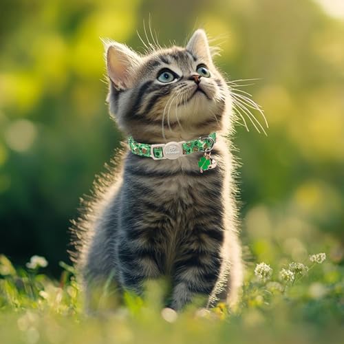 2 Pack St. Patrick’s Day Cat Collars - Breakaway Cat Collar with Bell, Green Clover Pendant, Adjustable Cute Kitten Collars for Boy Girl Cats, Beer&Flower Irish Shamrock - color: Beer&Flower Clover