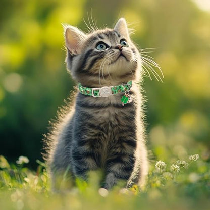 2 Pack St. Patrick’s Day Cat Collars - Breakaway Cat Collar with Bell, Green Clover Pendant, Adjustable Cute Kitten Collars for Boy Girl Cats, Beer&Flower Irish Shamrock - color: Beer&Flower Clover