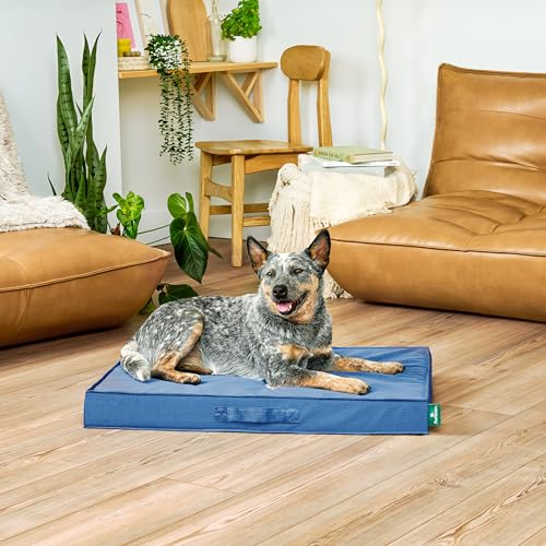 FurHaven Gridded Ripstop All-Weather Deluxe Orthopedic Mattress Pet Bed, Capri Blue, Medium - color: Capri Blue, size: Medium