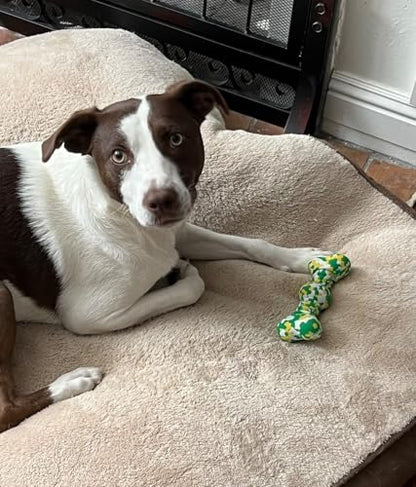 Dog Chew Toys for Aggressive Chewers, Safe Bamboo Fiber & Nature Rubber-Partially Degradable,Teething Cleaning Toys for Small Medium Large Dog Breeds Green S - size: Small