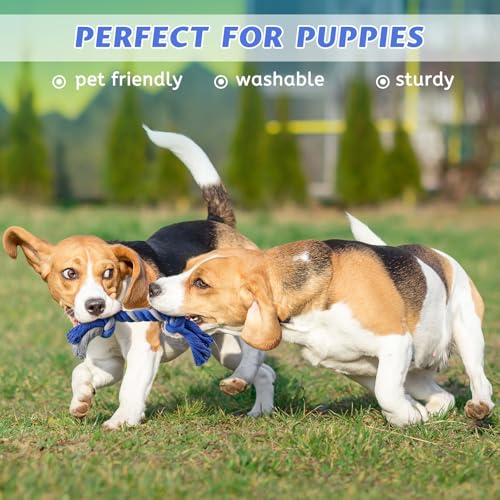 Pet Chew Rope Toy for Teething, Entertainment & Interaction, Knots Weave Cotton Rope, Biting Small Ball Tough Chew Toys for Dogs & Cats, 4 Pack - style: 4 PACK