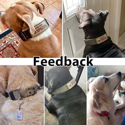 Tactical Dog Collar Military Adjustable Dog Collars Soft Nylon Training Collar with Patch Heavy Duty Metal Buckle Collars for Medium Large Dogs (Black, M) - color: Black, size: M