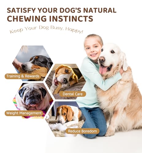 Durable Dog Chew Toy for Aggressive Chewers, Tough Dental Toy for Teeth Cleaning, Boredom & Anxiety Relief, Long-Lasting Toy for All Dog Sizes & Teething Puppies, Keep Them Busy