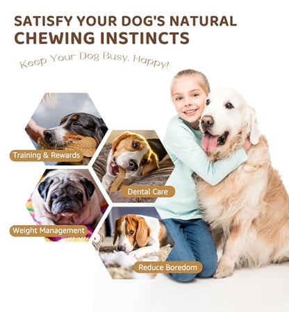 Durable Dog Chew Toy for Aggressive Chewers, Tough Dental Toy for Teeth Cleaning, Boredom & Anxiety Relief, Long-Lasting Toy for All Dog Sizes & Teething Puppies, Keep Them Busy
