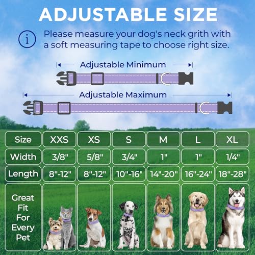 TECEUM Reflective Dog Collar – Lavender – XXS – Extra Soft Padding – Basic Nylon Pet Collar – Quick Release Buckle – Fits Small, Medium and Large Dogs, Puppies, Cats – ESA & Service Dog Options - color: Lavender, size: XX-Small