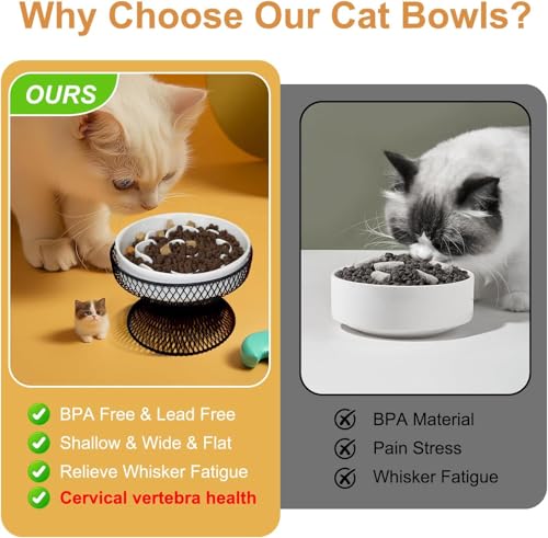 2PCS Raised Ceramic Cat Slow Feeder Bowl Elevated Food Bowl with Stand, Cat Slow Bowl for Wet Food and Dry Food,Slow Down Eating Speed, Whisker Friendly Pet Puzzle Feeder for Kitten and Small Dog - color: White Set of 2