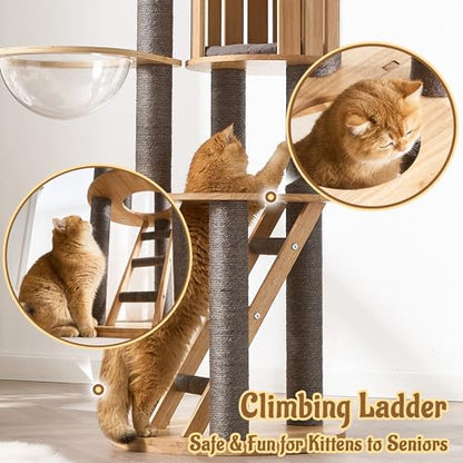 Modern Cat Tree Tower with Scratching Post, 61.5in Tall Cat Tree for Indoor Cats, Multi-Level Solid Wood Cat Furniture with Ladder, Cozy Cat Beds, Cat Condo, Capsule Nest, Dangling Toy, Gray - color: 61.5"Gray
