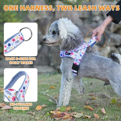 KOOLTAIL No Pull Small Dog Harness with Soft Padded and Handle, Easy Walk Puppy Vest Harness Neck & Chest Adjustable, Reflective & Lightweight Escape Proof Breathable Mesh Medium Pet Harness, Blue S - color: Blue, size: Small