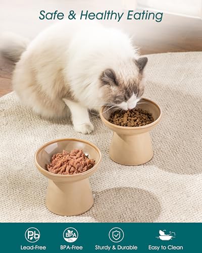 vancasso Elevated Cat Food Bowls 2-Pack, 6.2" Wide Shallow Cat Feeding Bowl for Whisker Fatigue, 5.1" Height Ceramic Raised Food Bowls for Senior Cats, Anti Vomit, Brown - color: Brown-Food 2-pack