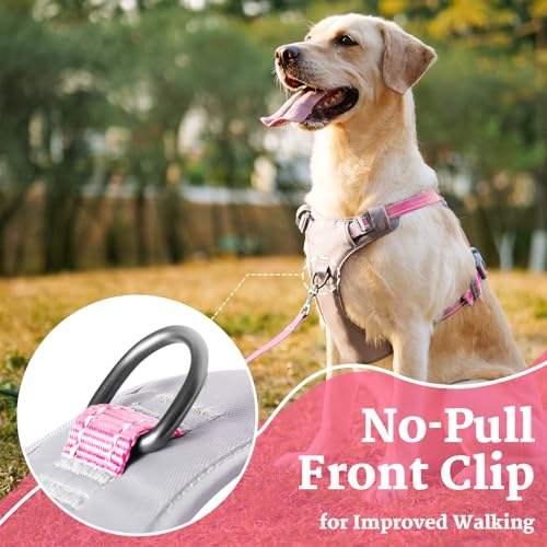 Huntboo No-Pull Dog Harness, Fully Reflective Vest with 2 Leash Clips, No-Choke, Adjustable, Breathable & Durable for Small, Medium & Large Dogs Walking, Training, Running (Pink, L) - color: Pink, size: Large (Pack of 1)