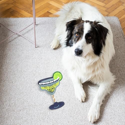 Pavilion Gift Company - Salty - 11" Canvas Rope Dog Toy Chew Tug of War Margarita Alcohol Best Friend Dog Doggy Puppy K9 Gift