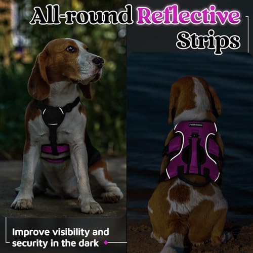 rabbitgoo Escape Proof Dog Harness, Soft Padded Full Body Pet Harness, Reflective Adjustable No Pull Vest with Lift Handle and Lesh Clip for Large Dogs Walking Hiking Training, S, Purple - color: Purple, size: Small (Pack of 1)