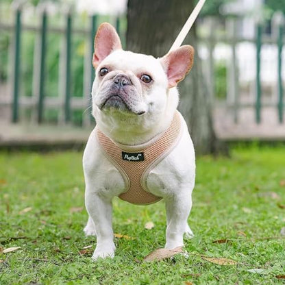 PUPTECK Soft Mesh Dog Harness and Leash Set Pet Puppy Cat Comfort Padded Vest No Pull Harnesses, Solid Beige, XS - color: Solid Beige, size: XS (NECK: 10", CHEST: 10"-14")