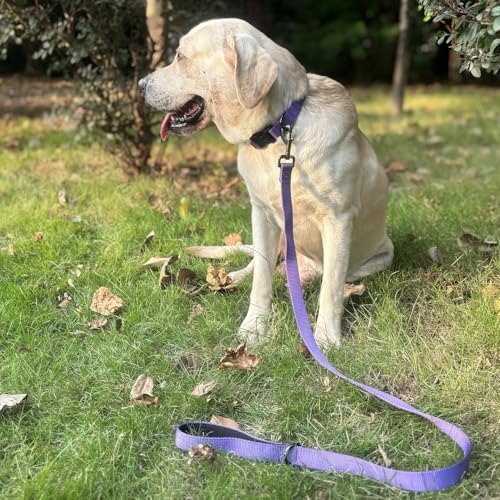 Premium Classic Sturdy Nylon Adjustable Dog Collars,Soft and Smooth Regular 1 Inch Wide Dog Collars with Quick Release Buckle for Large Breed Dogs Walking,Training. (Large, Ultra Violet) - color: Ultra Violet, size: Large 16-24 Inches