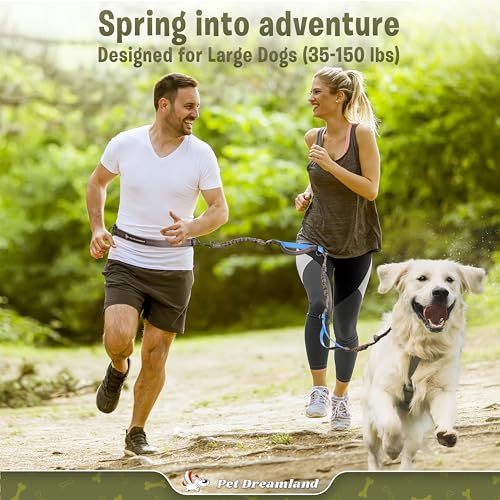 Exquisite Hands-Free Leash for Large Dogs. Ultimate Comfort & Freedom for Walking, Running, Hiking. Premium Quality & Versatile Waist Belt. Your Dog Will Love This Running Leash. - color: Grey & Blue