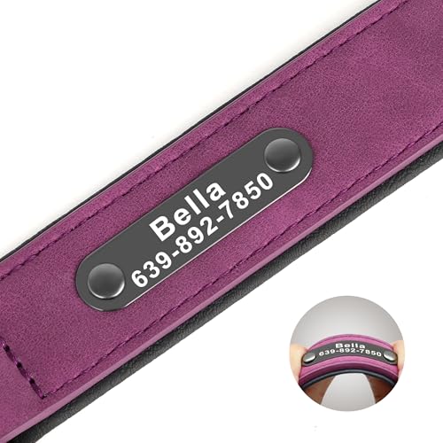 Didog Custom PU Leather Dog Collars with Personalized Engraving Nameplate,Personalized Padded Dog Collars Engraved for Small Medium Dogs,Purple,M Size - color: Purple, size: M: Fit 11-14"Neck
