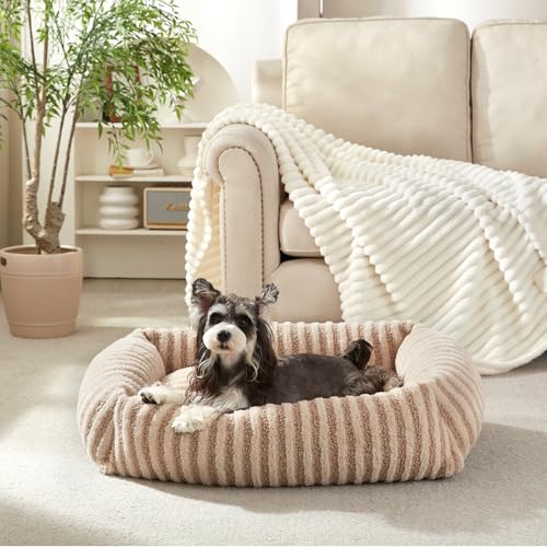 MIXJOY Dog Bed for Medium Small Size Dog, Washable Medium Dogs Bed with Removable Cover, Rectangle Doggy Ded Fluffy Plush Faux Fur Pet Bed with Anti-Slip Bottom, 25"x21"x7", Beige - color: Beige, size: S Plus(25"Lx21"Wx7"Th)