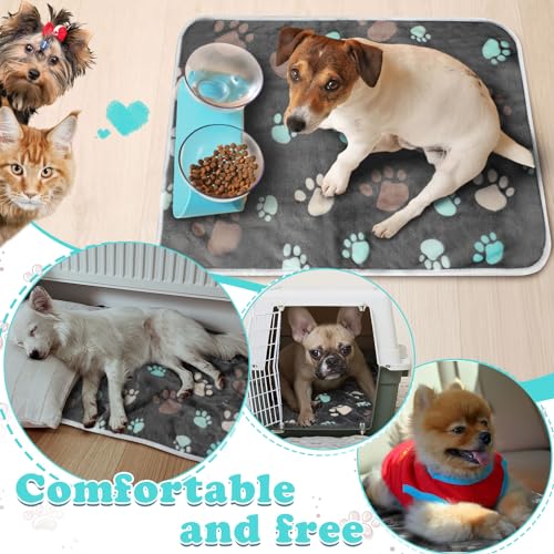 Panelee 4pcs Washable Pads Waterproof Dog Blanket Cat Bed Sofa Protector Soft Blanket Plush Reversible Throw Blanket Paw Pattern Warm for Small Dogs (Black) - color: Black