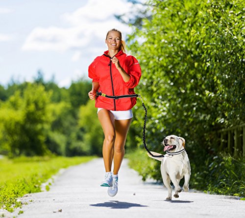 Hertzko Hands Free Dog Leash Great Running Leash for m=Medium to Large Dogs - Strong, Durable and Weather Resistant Nylon Bungee Leash (36 inches Bungee)