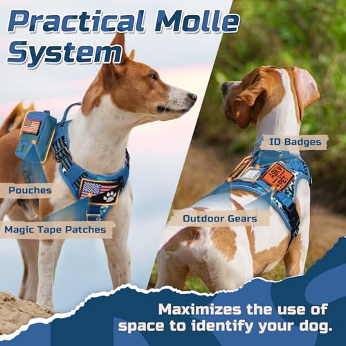 rabbitgoo Tactical Dog Harness Medium Sized Dog, No Pull Military Service Vest with Handle & Molle, Easy Control for Training Walking, Adjustable Reflective Straps, Blue Camo, M - color: Blue Camo, size: Medium