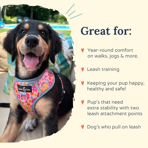 Lucy & Co. The Y2K Baby No-Pull Dog Harness - Size Small - Vest to Stop Pulling & Walk Easy - Comfortable Leash Training Product w/Adjustable Chest & Neck Straps - color: The Y2K Baby No-Pull Harness, size: Small