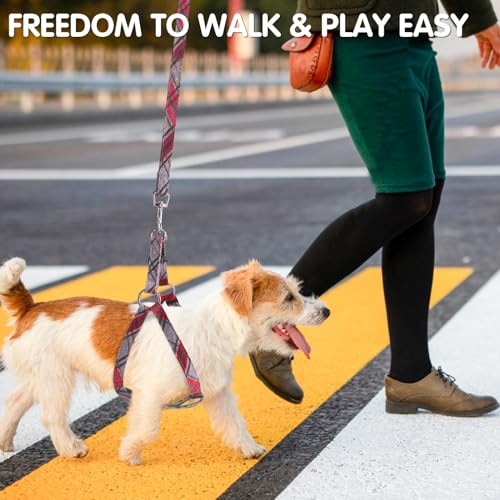 BINGPET Dog Harness Collar Leash Set,Adjustable No Pull Escape Proof Small Dog Harness,Classic Plaid Puppy Harness and Leash Set for Small Medium Large Dogs Training Easy Walk Running - color: Gray Red Plaid, size: S(Chest Girth:14.9''-20.9'')