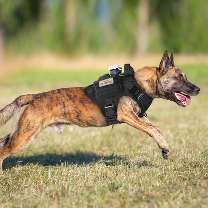 rabbitgoo Tactical Dog Harness Medium Sized, Heavy Duty Pet Harness with Handle, No-Pull Service Vest Medium Breed, Adjustable Military Dog Vest for Training Hunting Walking, Black, M - color: Black, size: Medium