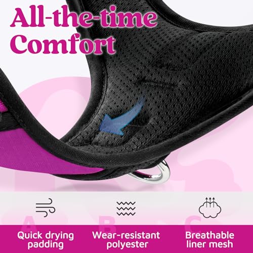 rabbitgoo Dog Harness Small Sized, No Pull Dog Vest with 3 Buckles, Adjustable Soft Padded Pet Harness with Easy Control Handle and Reflective Strips, Purple, S - color: Purple, size: Small