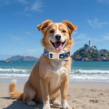 Blue Shark Dog Collar, Cute Boy Dog Collars for Puppy Small Dogs - Summer Ocean Pattern Female Male Dogs Collar, Durable Adjustable Pet Cartoon Collars with Quick Release Buckle XS - color: Cartoon Sharks, size: XS