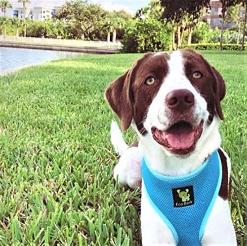 EcoBark Dog Harness - Eco-Friendly Max Comfort Harnesses - Luxurious Soft Mesh Halter - Over the Head Harness Vest- No Pull and No Choke for Puppy, Small Breeds & Medium Dogs (Large, Sky Blue) - color: Sky Blue