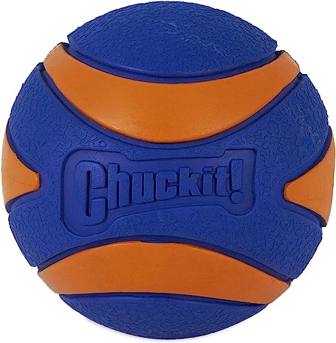 Chuckit! Ultra Squeaker Balls for Dogs, Floating Water Pet Toys, Durable Rubber Pet Toy, Bouncy Squeaky Fetch Balls for Dogs, Pack of 24, Medium (2.5") - size: Medium (Pack of 12), style: Squeaker