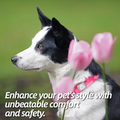 Soft Padded Dog Collar, Neck 12’’-20’’, Adjustable Heavy Duty Collar with 3M Reflective Logo for Medium, Large Dogs, Camo Pink, Medium - color: Camo Pink, size: Medium (Neck 12''–20'')