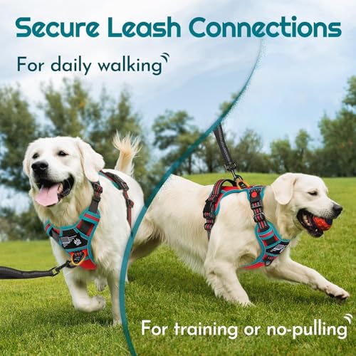 Dog Harness Medium Sized, Easy Wearing with 3 Buckles, Adjustable No Pull Pet Harness with 2 Rings for Walking, No Chock Reflective Soft Padded Vest with Control Handle, Red & Teal, M - color: Red & Teal, size: Medium