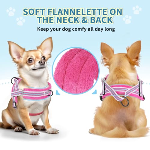 Lukovee No Pull Dog Harness and Leash Set, Soft Padded Small Dog Harness, Neck & Chest Adjustable Reflective Vest Puppy Harness with 4ft Lightweight Anti-Twist Dog Leash for Small Dogs (XS, Fuschia) - color: Fuchsia - with Stripe, size: XS ( Chest 14'' ~