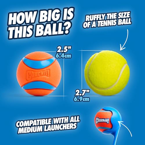 Chuckit! The Duo 22M Double Launcher Dog Toy, 22" Length, Includes 2 Medium Tennis Balls (2.5") Size Medium for Breeds 20-60lbs, for Multi-Dog and Pack Play, Launches Two Balls at Once - style: The Duo