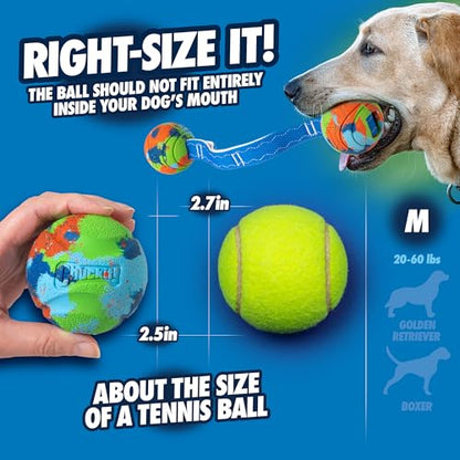 Chuckit! Limited Edition EcoFetch Ball Dog Toy, Medium (2.5 Inch Diameter) Pack of 3, for Breeds 20-60 lbs - style: EcoFetch