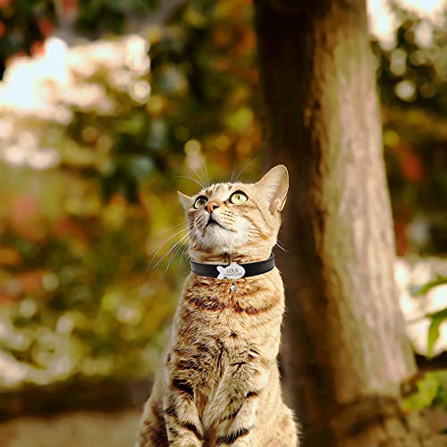 Personalized Soft PU Leather Cat Collar with Nameplate,Custom Engraving Name & Phone Fish Shaped Slidable ID Tag Cat Collar with Bell,Cat Neck Strap for Kitty
