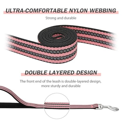 Hikiko 6 FT Heavy Duty Dog Leash with 2 Padded Handles Reflective Nylon Double Handle Dog Leash, Cherry Pink - color: Cherry Pink, size: 1 in x 6 ft