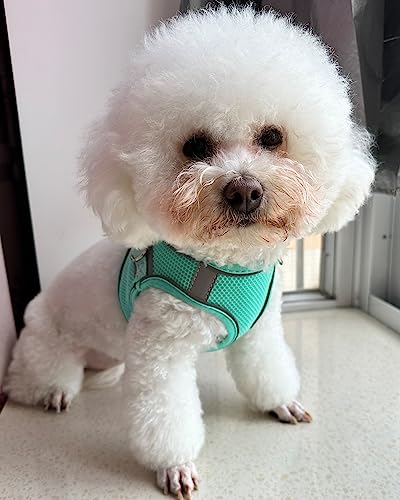 Solmoony Dog Harness for Small Medium Dogs No Pull, Puppy Harness and Leash Set, mesh Dog Harness. (Green, XS) - color: Green, size: XS