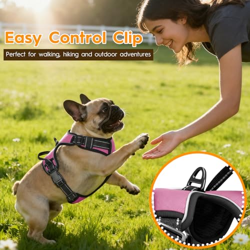 No Pull Dog Harness, No Chock Reflective Adjustable Soft Padded Pet Vest with Easy Control Handle, Easy Wearing with Stylish, Reinforced Knot, 2 Buckles - color: Midnight Pink, size: X-Small